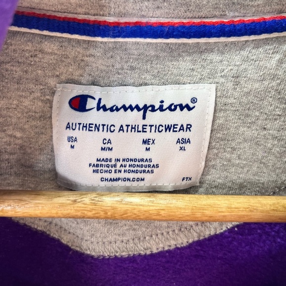 Champion Embroidered Spellout Hoodie Sweatshirt Mens M Purple Activewear 2401 - Picture 3 of 8